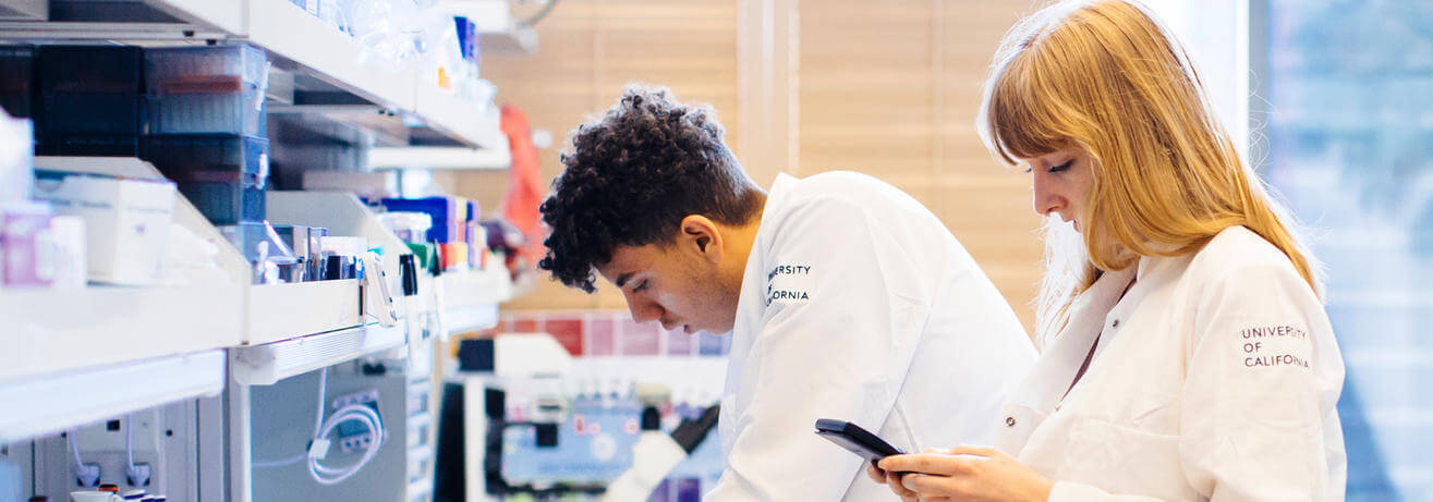 research-undergrad-hero