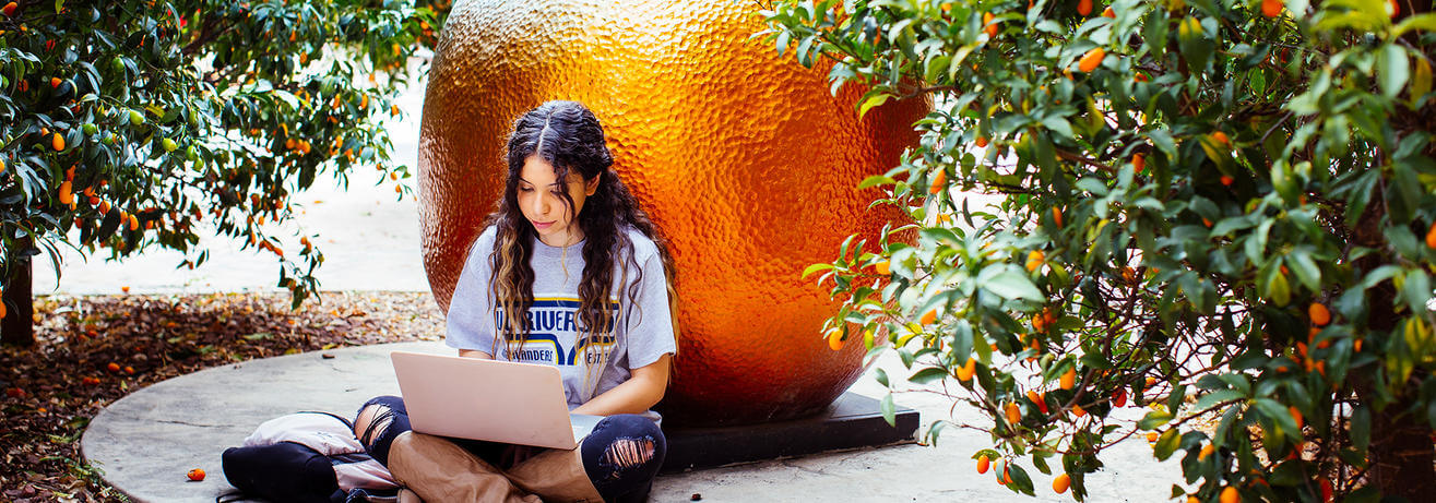 About - Ranks and Facts - Top Banner